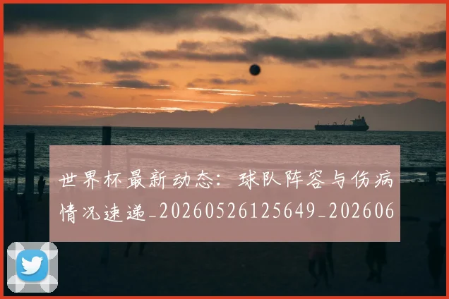 世界杯最新动态：球队阵容与伤病情况速递_20260526125649_20260607160359
