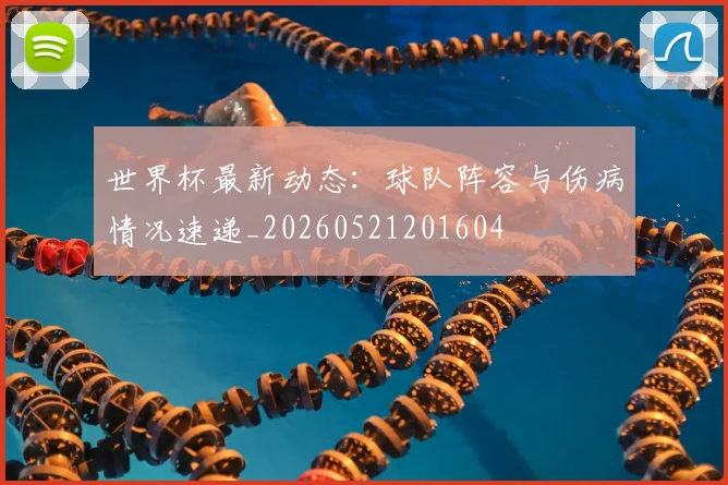 世界杯最新动态：球队阵容与伤病情况速递_20260521201604